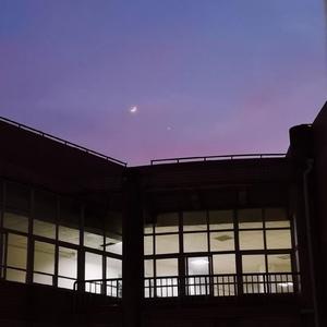 不要肉丝袜胸不要
