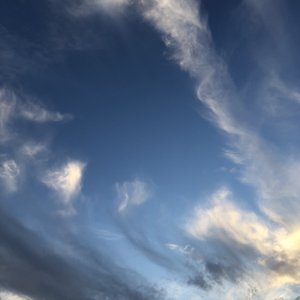 不要肉丝袜胸不要
