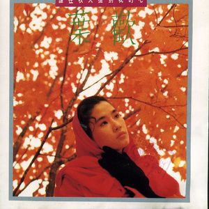 不要肉丝袜胸不要
