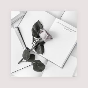 不要肉丝袜胸不要
