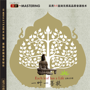 不要肉丝袜胸不要
