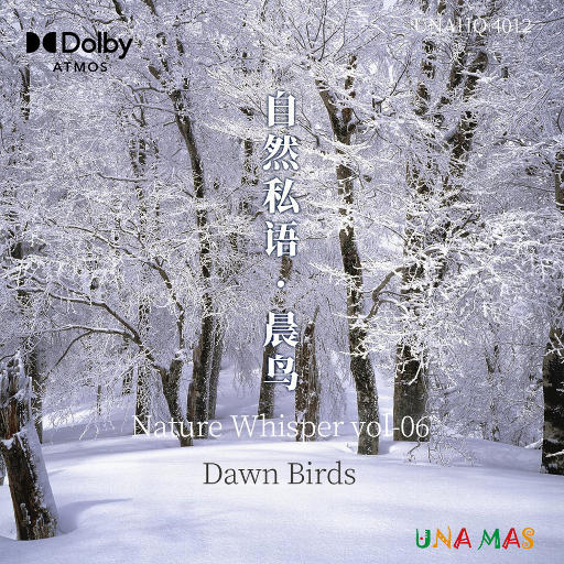 不要肉丝袜胸不要
